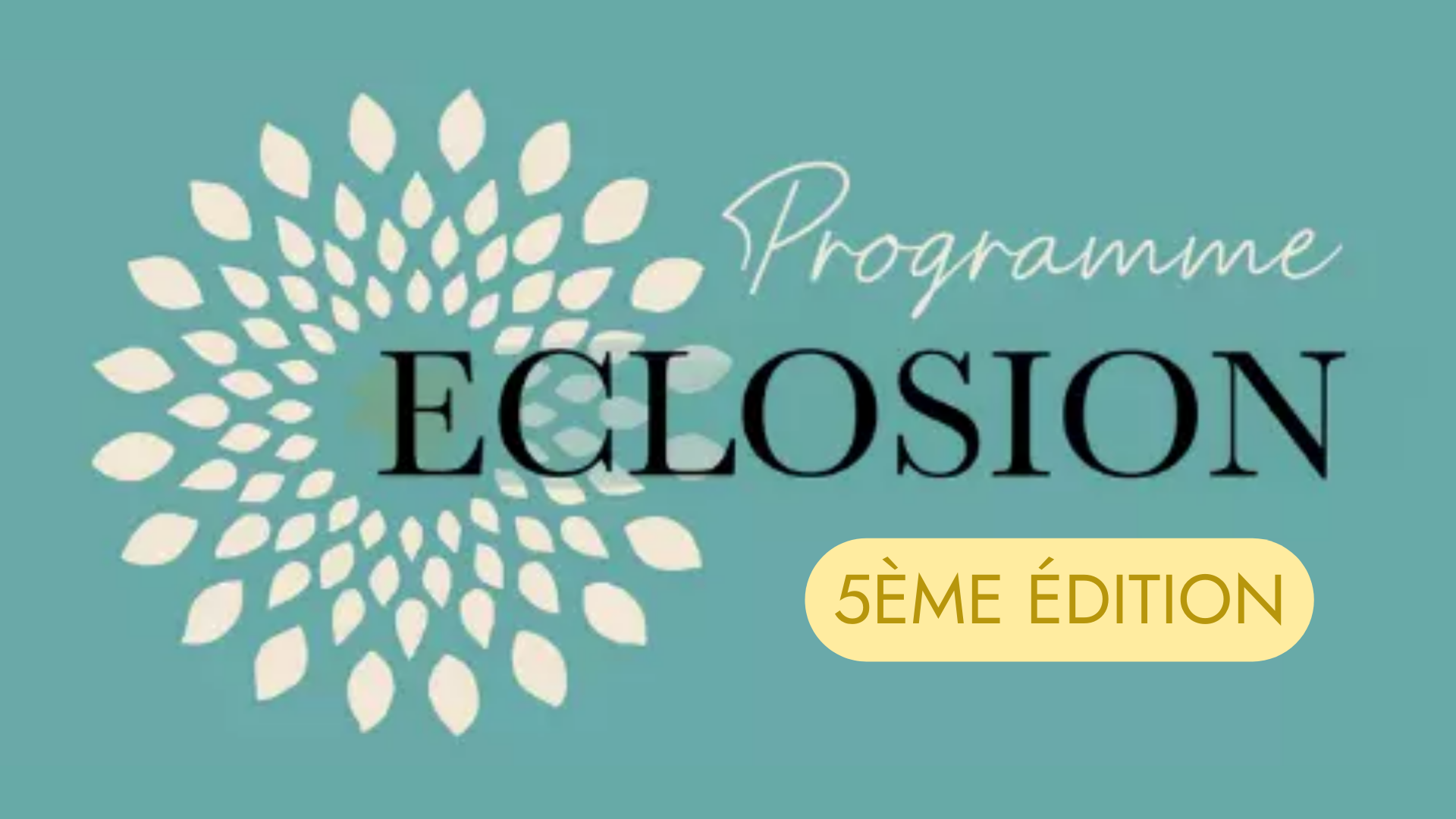 Programme Eclosion - Audrey Carsalade